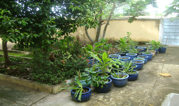 Tuyển sinh Đại học trực tuyến