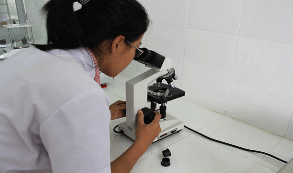 Tuyển sinh Đại học trực tuyến