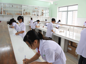 Tuyển sinh Đại học trực tuyến