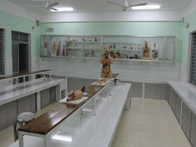 Tuyển sinh Đại học trực tuyến
