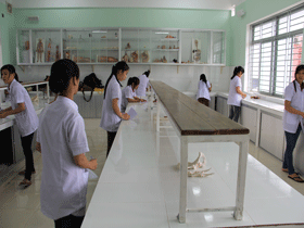 Tuyển sinh Đại học trực tuyến