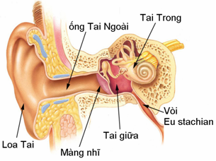 Tuyển sinh Đại học trực tuyến
