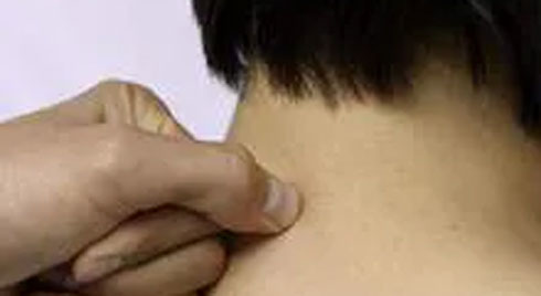 Tuyển sinh Đại học trực tuyến