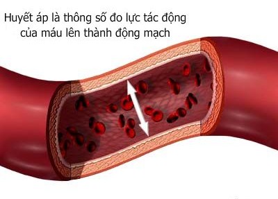 Tuyển sinh Đại học trực tuyến