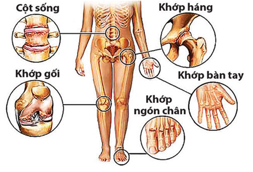 Tuyển sinh Đại học trực tuyến