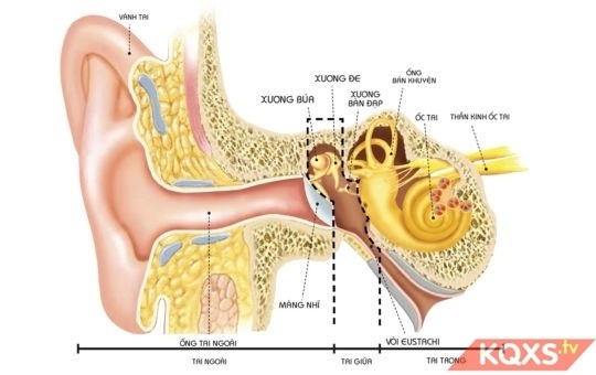Tuyển sinh Đại học trực tuyến