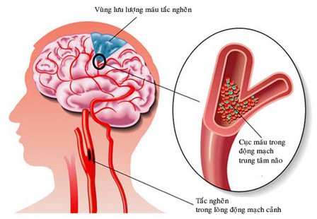 Tuyển sinh Đại học trực tuyến