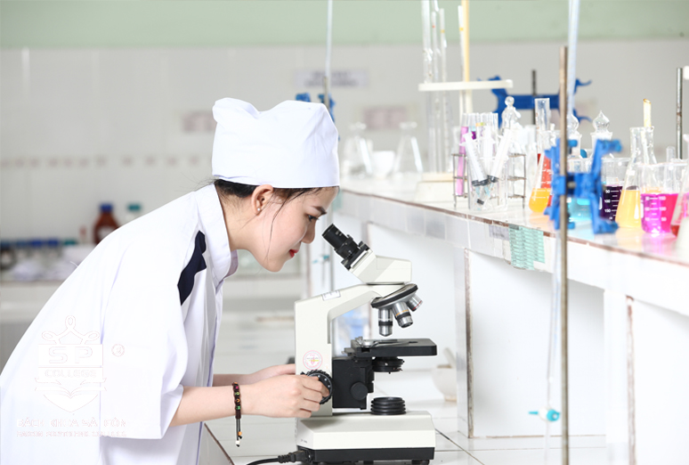 Tuyển sinh Đại học trực tuyến
